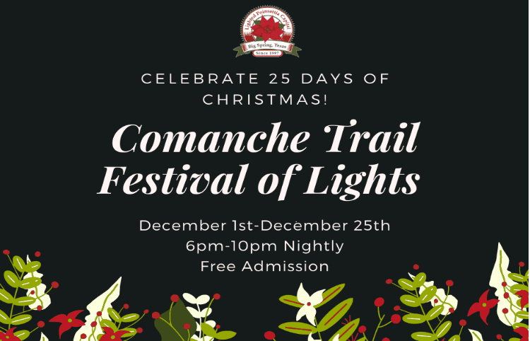 25 Days of Christmas