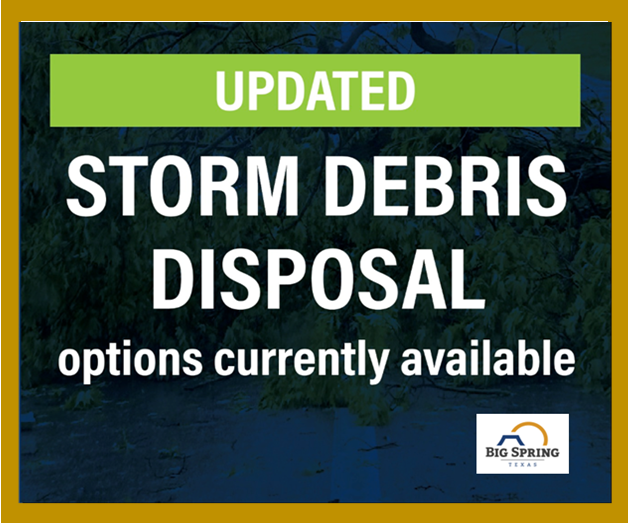Storm Debris Disposal